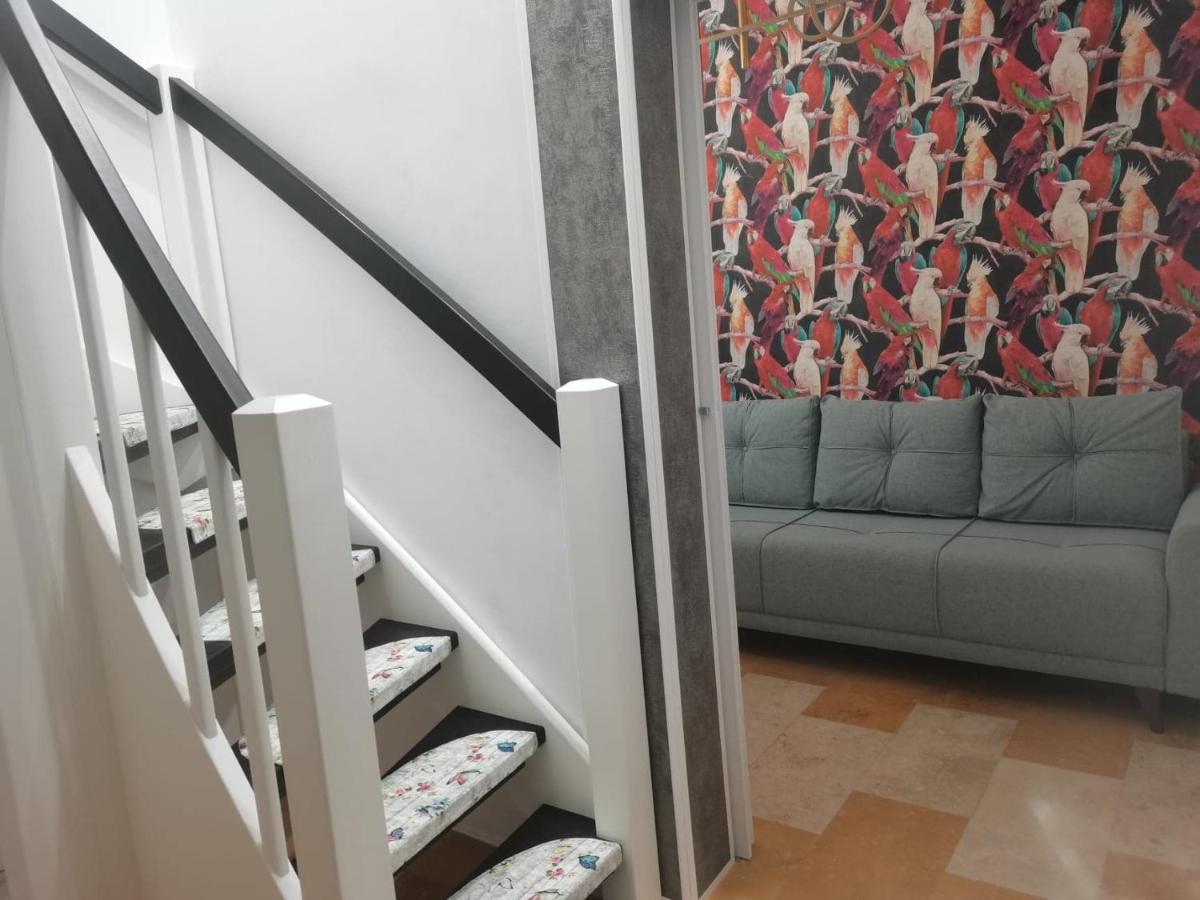Cezari Aparthotel Braşov Exteriör bild